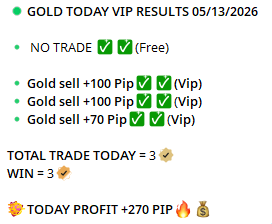 Daily Performance Report 8